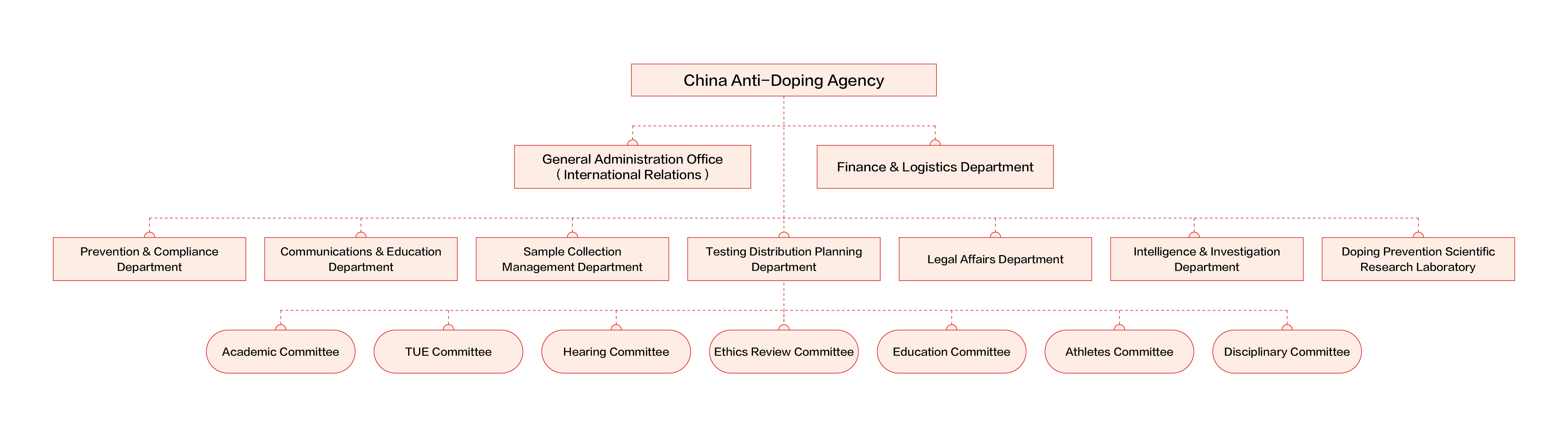 组织图英文.jpg